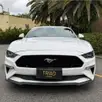 FORD MUSTANG 5.0 V8 TI-VCT GASOLINA GT PREMIUM SELECTSHIFT FORD MUSTANG 5.0 V8 TI-VCT GASOLINA GT PREMIUM SELECTSHIFT