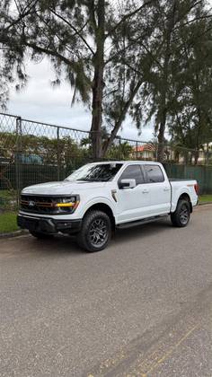 FORD F-150 5.0 V8 GASOLINA CD TREMOR FX4 AUTOMÁTICO