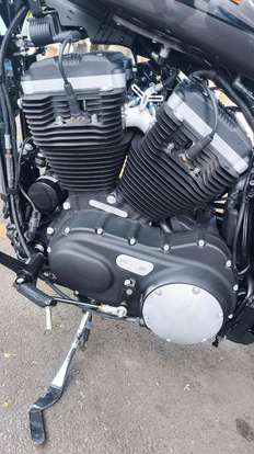 HARLEY-DAVIDSON-SPORTSTER IRON 883-2018