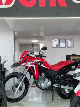 HONDA-XRE 300 RALLY-2023