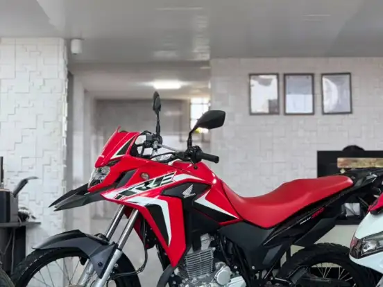 HONDA-XRE 300 RALLY HONDA-XRE 300 RALLY-2023