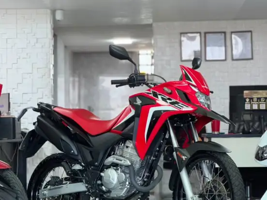HONDA-XRE 300 RALLY HONDA-XRE 300 RALLY-2023
