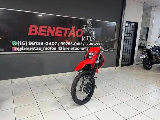 HONDA-XR 300L TORNADO HONDA-XR 300L TORNADO-2025