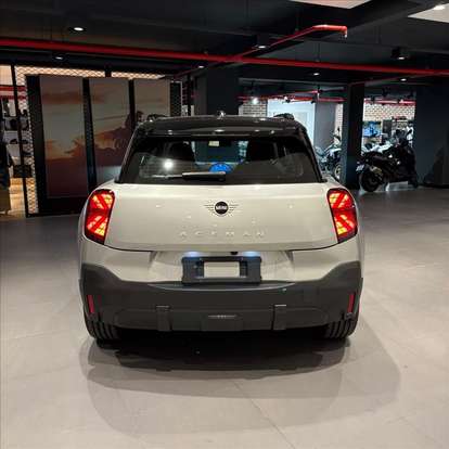 MINI-ACEMAN-2025