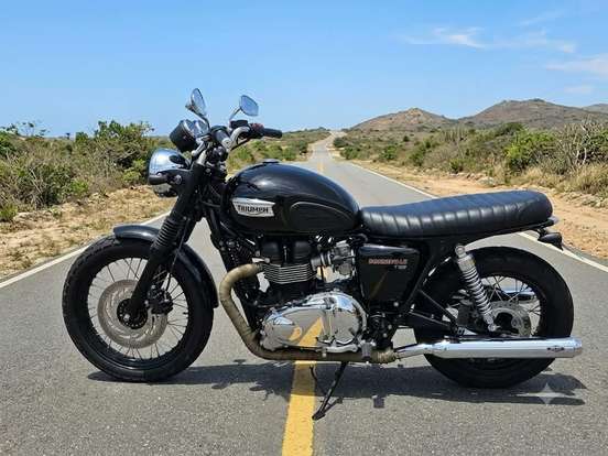 TRIUMPH-BONNEVILLE T 100 865 TRIUMPH-BONNEVILLE T 100 865-2014