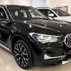 BMW X1 2.0 16V TURBO ACTIVEFLEX SDRIVE20I X-LINE 4P AUTOMÁTICO BMW X1 2.0 16V TURBO ACTIVEFLEX SDRIVE20I X-LINE 4P AUTOMÁTICO