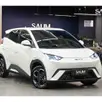 BYD DOLPHIN MINI 38 KW ELÉTRICO GS BYD DOLPHIN MINI 38 KW ELÉTRICO GS