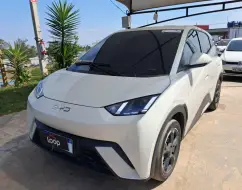 BYD DOLPHIN MINI 38 KW ELÉTRICO BYD DOLPHIN MINI 38 KW ELÉTRICO