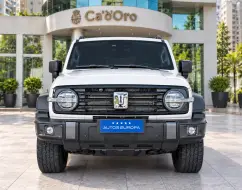 GWM TANK 300 2.0 HI4-T PHEV FLEX 4X4 9HAT GWM TANK 300 2.0 HI4-T PHEV FLEX 4X4 9HAT