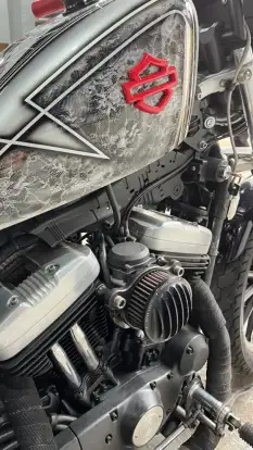 HARLEY-DAVIDSON-SPORTSTER XL 883-2005