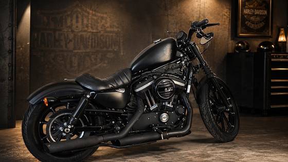 HARLEY-DAVIDSON SPORTSTER IRON 883 