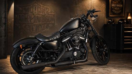 HARLEY-DAVIDSON-SPORTSTER IRON 883-2020