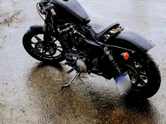 HARLEY-DAVIDSON-SPORTSTER IRON 883 HARLEY-DAVIDSON-SPORTSTER IRON 883-2020