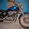 HARLEY-DAVIDSON SPORTSTER XL 883 CUSTOM HARLEY-DAVIDSON SPORTSTER XL 883 CUSTOM