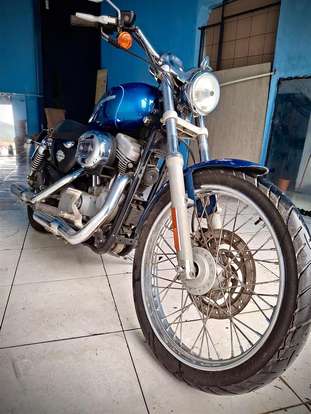 HARLEY-DAVIDSON-SPORTSTER XL 883 CUSTOM-2005