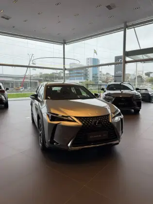 LEXUS UX 300h 2.0 VVT-I HYBRID CVT