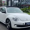 VOLKSWAGEN FUSCA 2.0 TSI 16V GASOLINA 2P AUTOMÁTICO VOLKSWAGEN FUSCA 2.0 TSI 16V GASOLINA 2P AUTOMÁTICO
