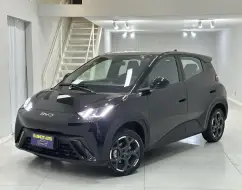 BYD DOLPHIN MINI 38 KW ELÉTRICO GS BYD DOLPHIN MINI 38 KW ELÉTRICO GS