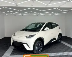 BYD DOLPHIN MINI 38 KW ELÉTRICO GL BYD DOLPHIN MINI 38 KW ELÉTRICO GL