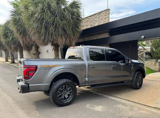FORD F-150 5.0 V8 GASOLINA CD TREMOR FX4 AUTOMÁTICO