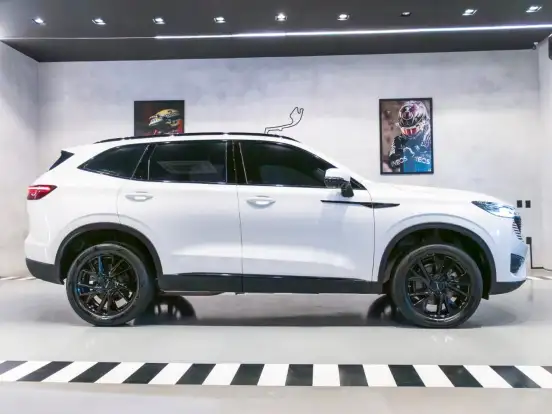 GWM-HAVAL H6-2024