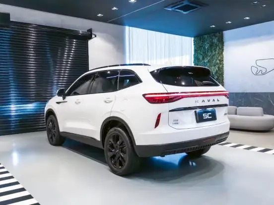 GWM-HAVAL H6-2024