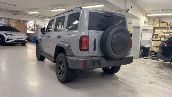 GWM-TANK 300-2025