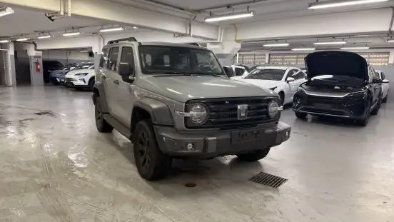 GWM-TANK 300-2025