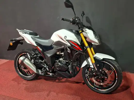 HAOJUE-DR 160 FI HAOJUE-DR 160 FI-2022