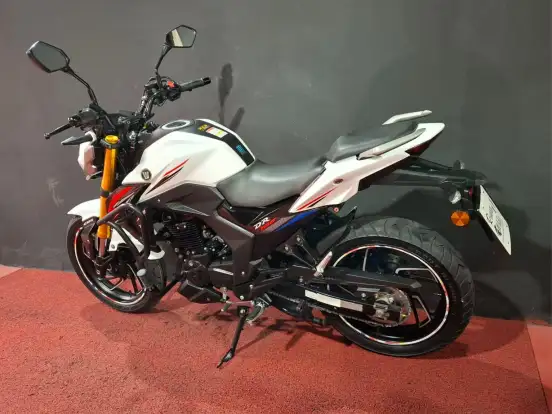 HAOJUE-DR 160 FI HAOJUE-DR 160 FI-2022