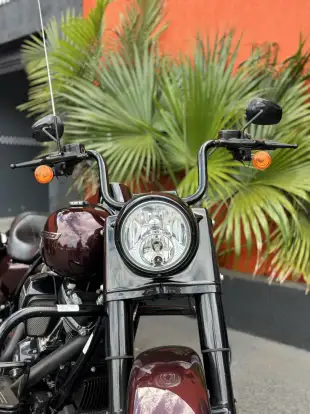 HARLEY-DAVIDSON-ROAD KING SPECIAL-2019