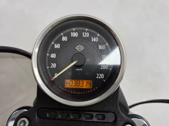 HARLEY-DAVIDSON-SPORTSTER IRON 883-2019