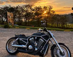 HARLEY-DAVIDSON V-ROD HARLEY-DAVIDSON V-ROD