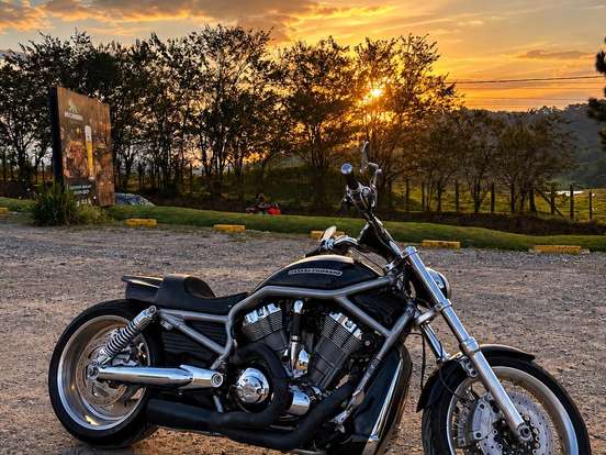 HARLEY-DAVIDSON-V-ROD HARLEY-DAVIDSON-V-ROD-2009