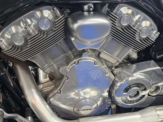 HARLEY-DAVIDSON-V-ROD MUSCLE HARLEY-DAVIDSON-V-ROD MUSCLE-2015