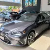LEXUS ES 300h 2.5 16V HÍBRIDO LUXURY CVT LEXUS ES 300h 2.5 16V HÍBRIDO LUXURY CVT