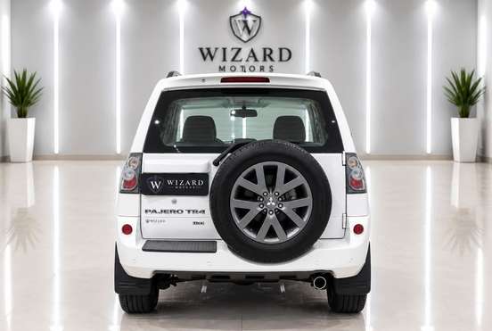 MITSUBISHI-PAJERO TR4-2013