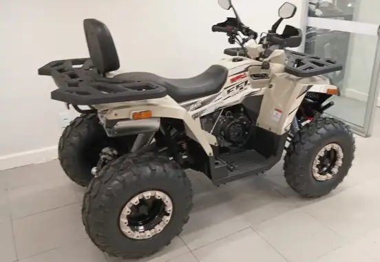 SHINERAY-ATV 200 SHINERAY-ATV 200-2026