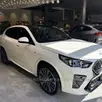 BMW X2 2.0 TURBO GASOLINA XDRIVE20I M SPORT STEPTRONIC BMW X2 2.0 TURBO GASOLINA XDRIVE20I M SPORT STEPTRONIC