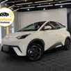 BYD DOLPHIN 44,9 KW ELÉTRICO GS BYD DOLPHIN 44,9 KW ELÉTRICO GS