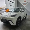 BYD DOLPHIN MINI 38 KW ELÉTRICO GL BYD DOLPHIN MINI 38 KW ELÉTRICO GL
