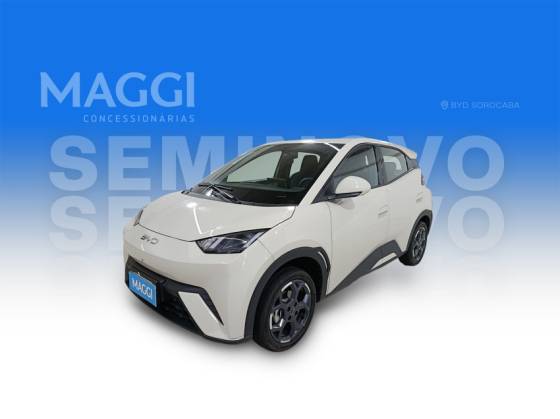 BYD DOLPHIN MINI 38 KW ELÉTRICO GS