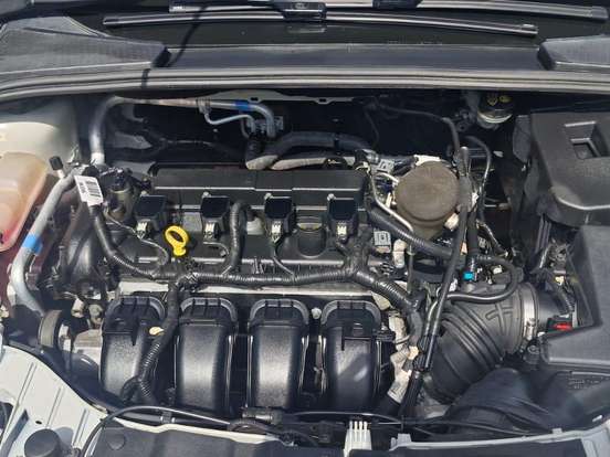 FORD-FOCUS-2.0 SE PLUS 16V FLEX 4P POWERSHIFT FORD-FOCUS-2015
