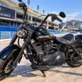 HARLEY-DAVIDSON FAT BOY FLSTF HARLEY-DAVIDSON FAT BOY FLSTF