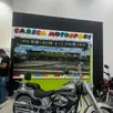 HARLEY-DAVIDSON SOFTAIL FAT BOY HARLEY-DAVIDSON SOFTAIL FAT BOY