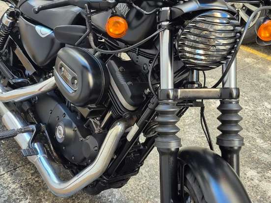 HARLEY-DAVIDSON-SPORTSTER IRON 883 HARLEY-DAVIDSON-SPORTSTER IRON 883-2015