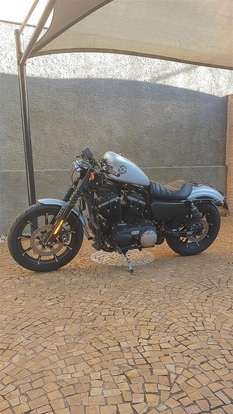 HARLEY-DAVIDSON-SPORTSTER IRON 883-2019