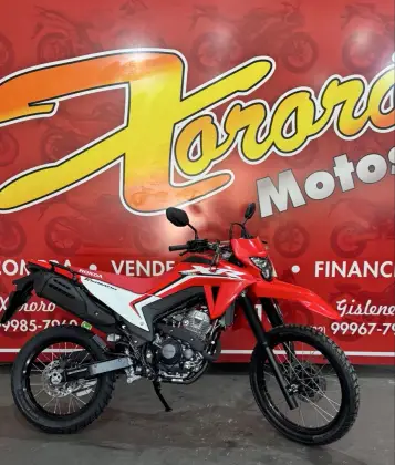 HONDA XR 300L TORNADO 