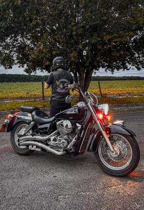 HONDA-SHADOW 750 HONDA-SHADOW 750-2006