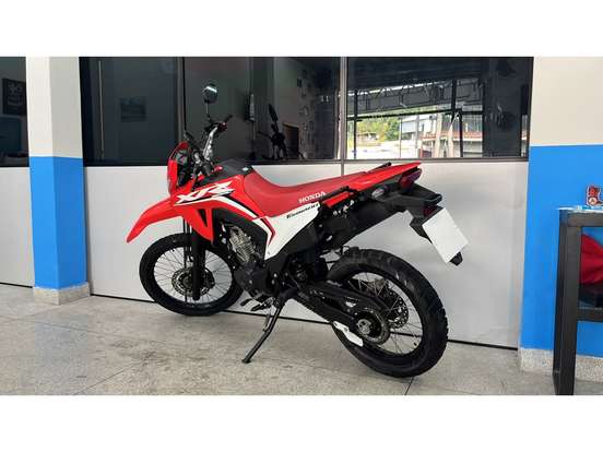 HONDA-XR 300L TORNADO-2025